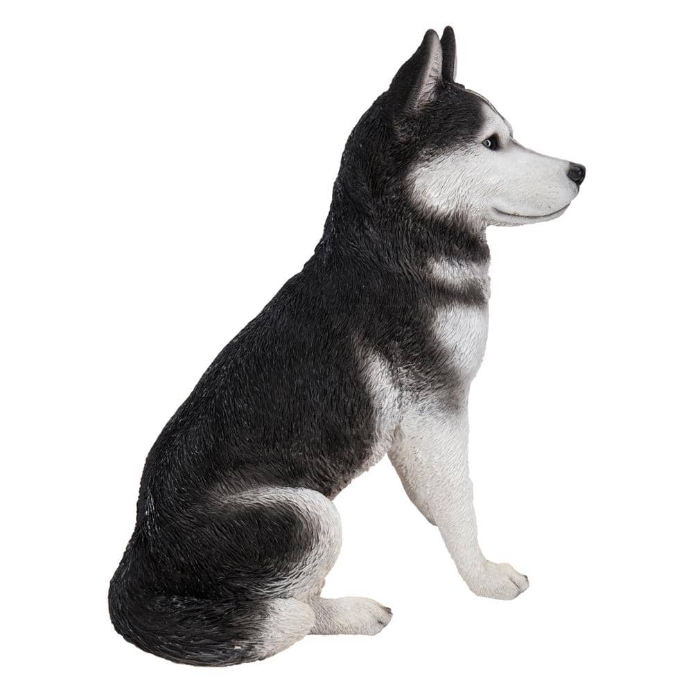 Large Black and White Resin Siberian Husky Sitting Statue