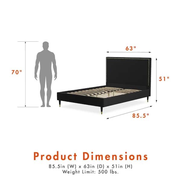 Audrey Black Velvet Upholstered Queen Size Bed
