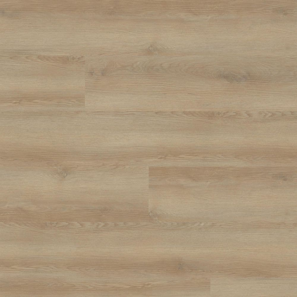 Misty Maplewood 22 MIL x 9 in. W x 48 in. L Waterproof Click Lock Luxury Vi