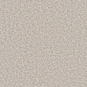 Delight II - Celebrate - Beige 65 oz. SD Polyester Texture Installed Carpet