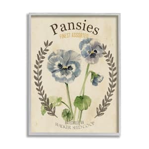 Blue Assorted Pansies Vintage Floral Seed Packet By Studio W Framed Print Nature Texturized Art 16 in. x 20 in.