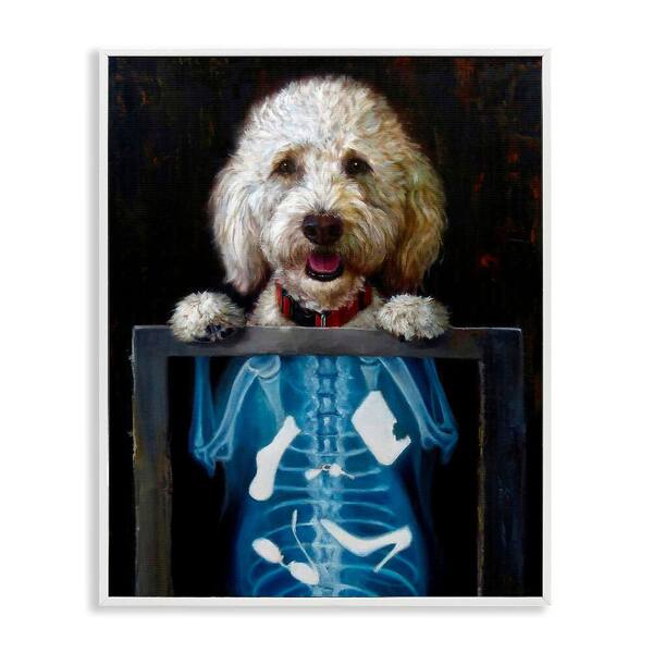 Stupell Industries Funny Dog X-Ray Snacks by Lucia Heffernan 1-Piece White Framed Animal Giclee Art Print 20 in. x 16 in.
