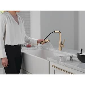 Almari Gold Single Handle Pull Out Sprayer Kitchen Faucet Deckplate Included in Champagne Bronze