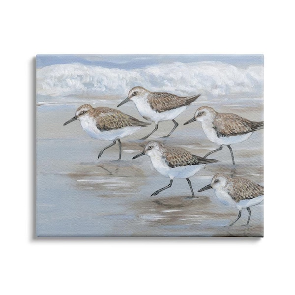 The Stupell Home Decor Collection Sandpiper Bird Flock Marching Beach Coast Waves by Tim OToole Unframed Animal Art Print 20 in. x 16 in.