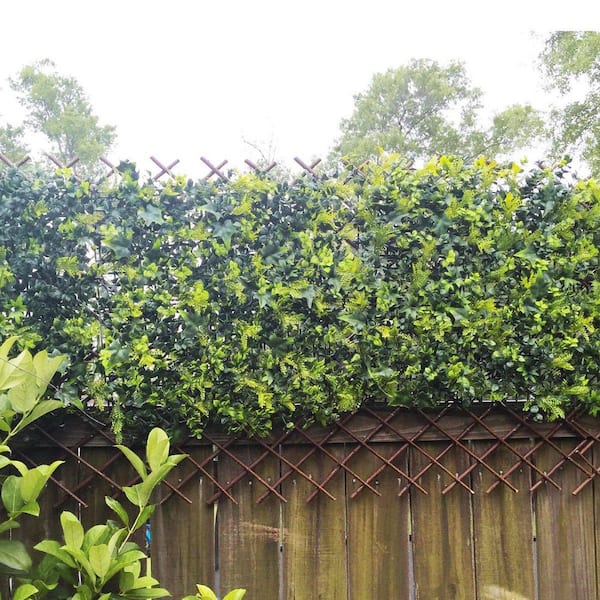 36 in. Wood Expandable Willow Garden Trellis for Climbing Plants, Fence  Panel OGSA11015 - The Home Depot
