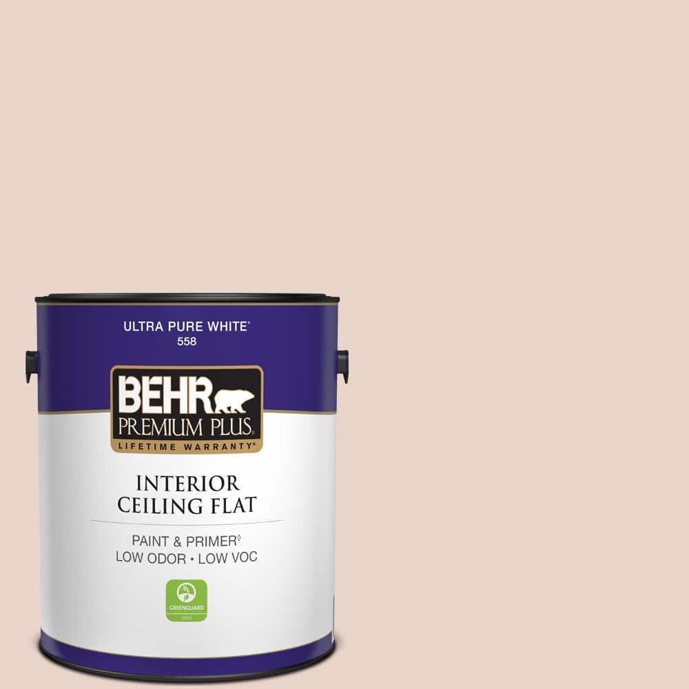 1 gal. #S190-1 Seaside Villa Ceiling Flat Interior Paint price history on PriceWatchPro