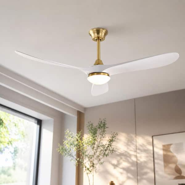 MODERN HABITAT 60 in. Integrated LED Indoor Downrod Mount Gold