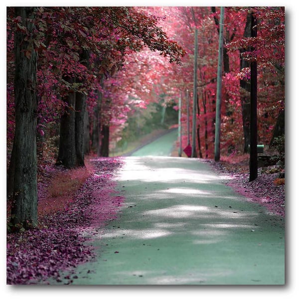 Unbranded 16 in. x 20 in. "Majestic Pink Road" Canvas Wall Art