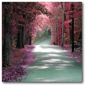 16 in. x 20 in. "Majestic Pink Road" Canvas Wall Art