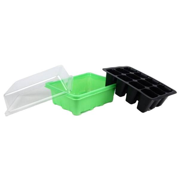 Small Clear Plastic Boxes Display Boxes, Clear Display Cases,transparent  Plastic Box, Eco System Terrarium Boxes Set of 12 PCS 