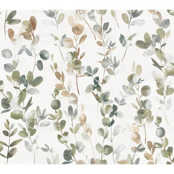 Eucalyptus leaves frame with watercolor for wedding birthday card  background invitation wallpaper sticker decoration etc 22769821 Vector  Art at Vecteezy