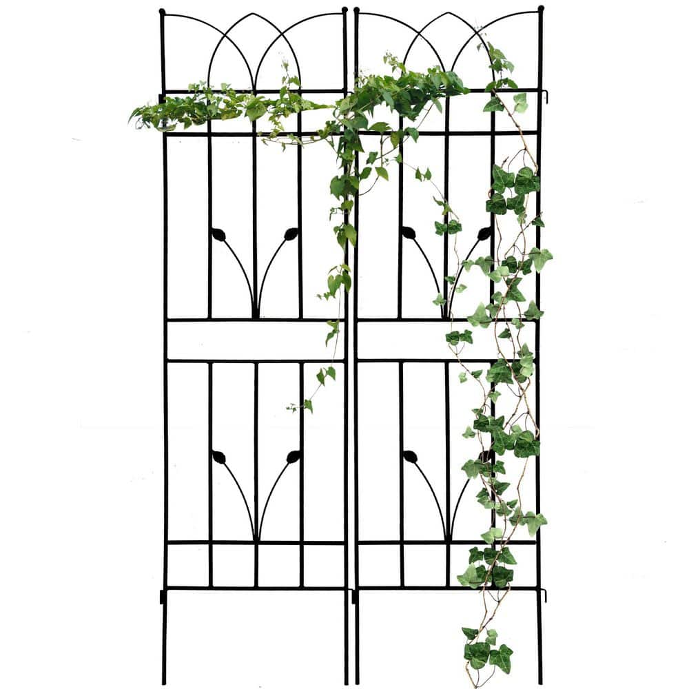 "Plant Trellis for Climbing Plants, 17.7""L x 71""H Garden Metal Trellis for Vine Flower Plant Support(Black, 2 Pack)" price history on PriceWatchPro