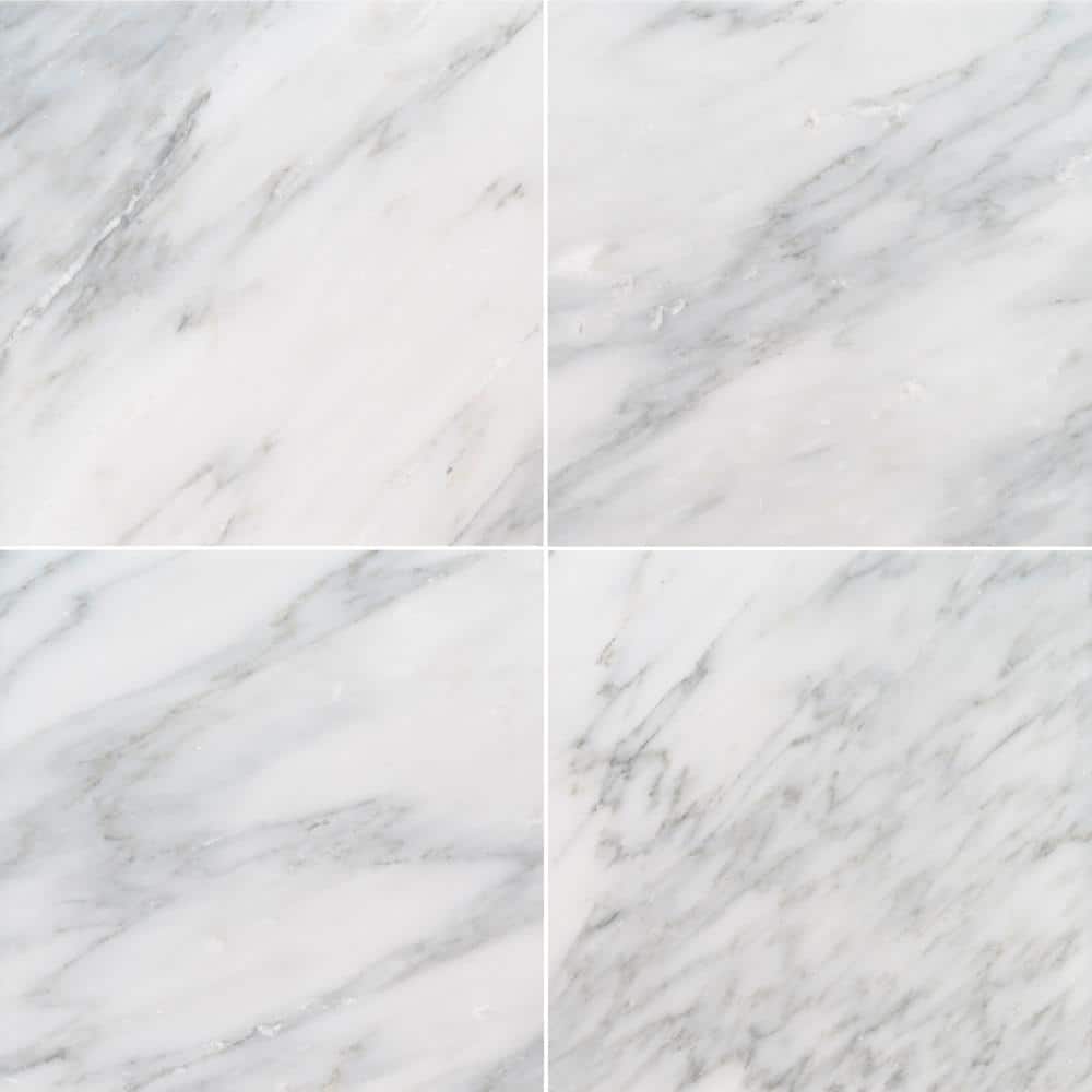 Take Home Tile Sample - Greecian White 4 in. x 4 in. Polished Marble Floor and Wall Tile (0.11 sq. ft.) price history on PriceWatchPro