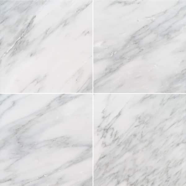 MSI Take Home Tile Sample - Greecian White 4 in. x 4 in. Polished Marble Floor and Wall Tile (0.11 sq. ft.)