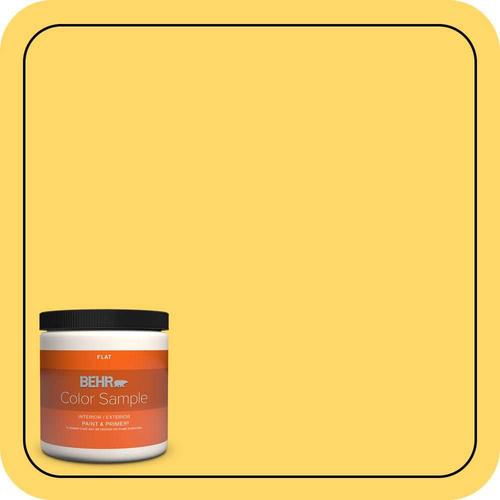 8 oz. #360B-5 Citrus Flat Interior/Exterior Paint & Primer Color Sample price history on PriceWatchPro