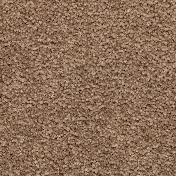 Lifeproof 8 in. x 8 in. Texture Carpet Sample - Unblemished II -Color Vision