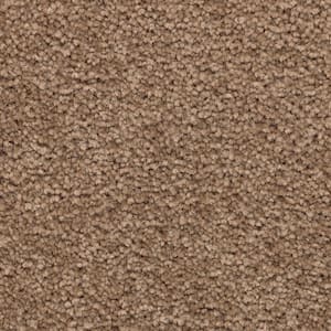 Unblemished II  - Vision - Brown 55 oz. Triexta Texture Installed Carpet