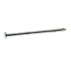 #8 x 3-1/2 in. 16-Penny Hot-Galvanized Steel Common Nails (10 lb.-Pack)