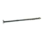 #8 x 3-1/2 in. 16-Penny Hot-Galvanized Steel Common Nails (5 lb.-Pack)