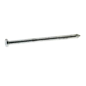 #10-1/4 x 2-1/2 in. 8-penny Hot Galvanized Smooth Shank Common Nails 30 lb. Box