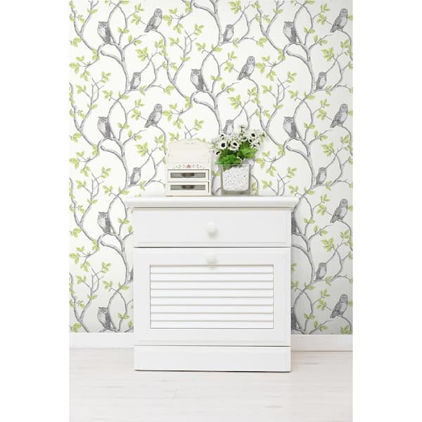 Linden Green Owl Green Wallpaper Sample