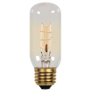 60-Watt Timeless Vintage Inspired Incandescent T12 Light Bulb