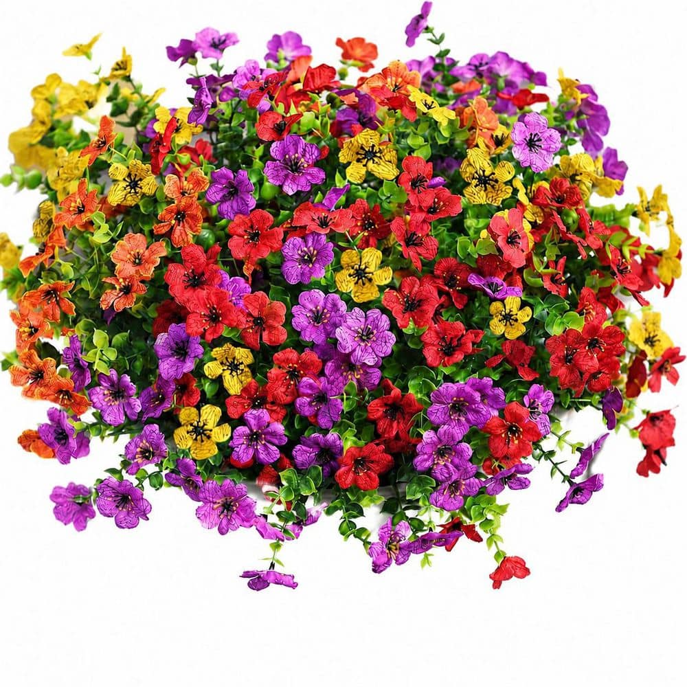 デイジーとミモザ デイジーとミモザ 25 Types of Daisies You'll Love