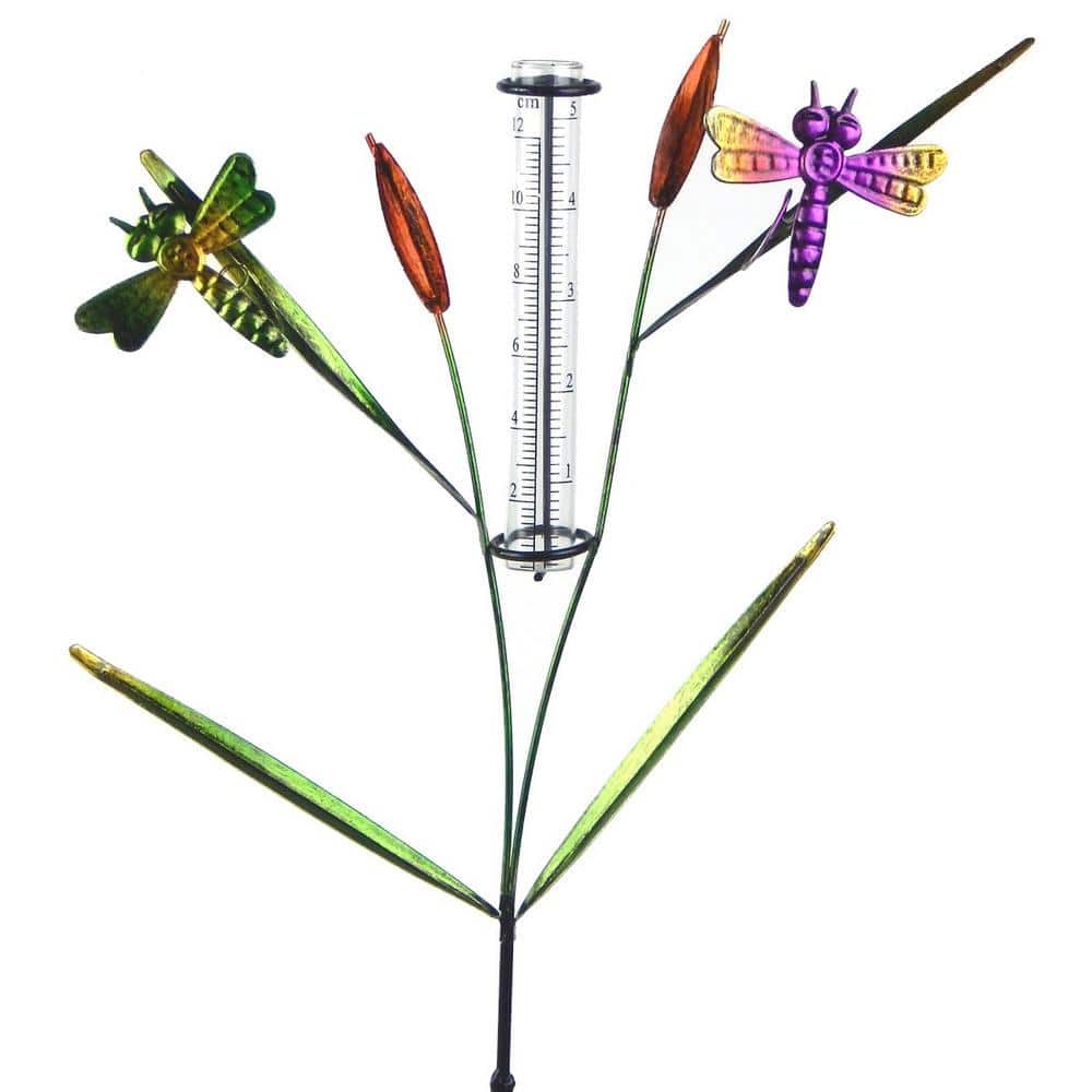 5 in. Capacity Rain Gauge Dragonfly Glass Stake