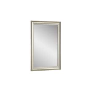 Vera 24 in. W x 36 in. H Rectangle Steel Champagne Wall Mirror