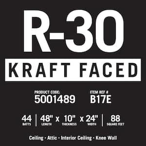 R-30 EcoBatt Kraft Faced Fiberglass Insulation Batt 10 in. x 24 in. x 48 in. (8-Bags)