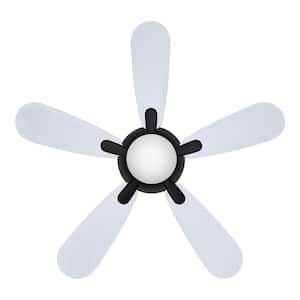 Loomis 44 in. LED Indoor Matte Black Ceiling Fan with Light and Star Projecting Uplight Included