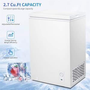 20.94 in. W 2.7 cu. ft. Manual Defrost Chest Freezer with Adjustable Temperature Controls in White