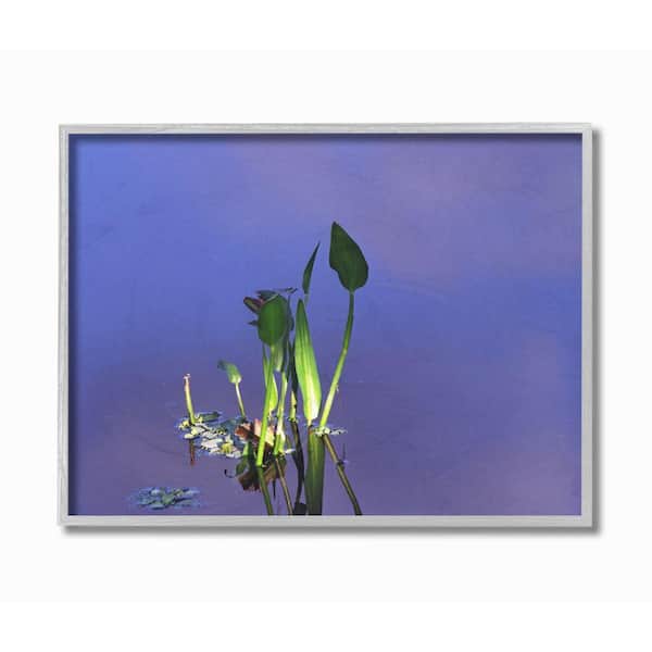 Stupell Industries 11 in. x 14 in. "Plant Emerging From Water Green Blue Photograph" by David Stern Framed Wall Art