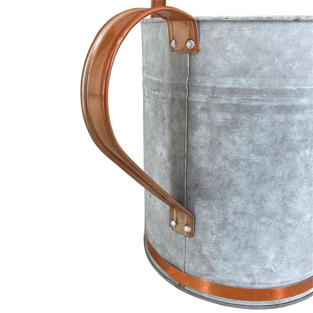 Light Blue Galvanized Metal Watering Can with Removable Spout