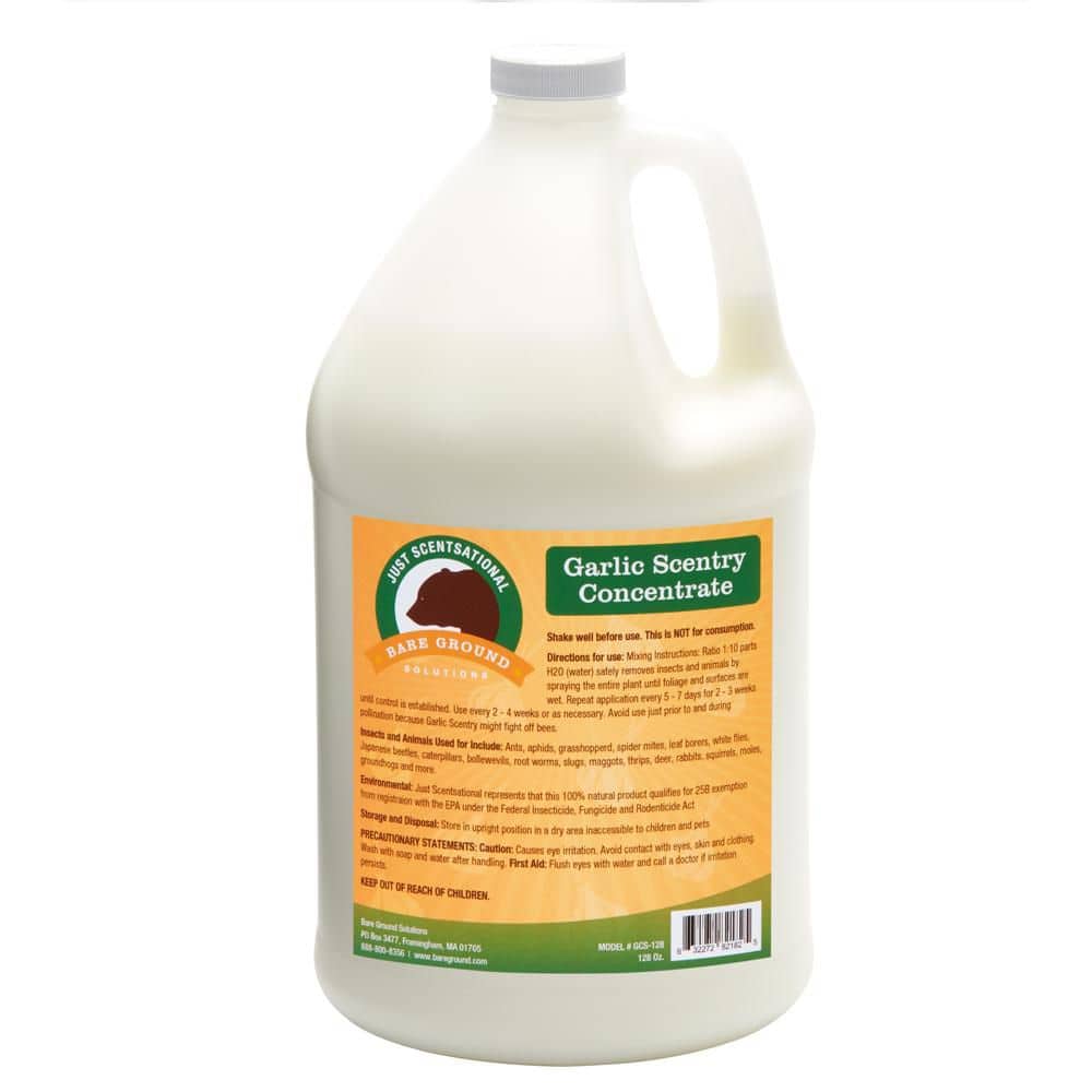 Just Scentsational 128 oz. Garlic Scentry Concentrate