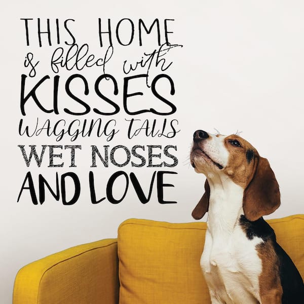Quote 6 21"x4" Vinyl Wall Decal How Many Miles While Chasing a Dream 