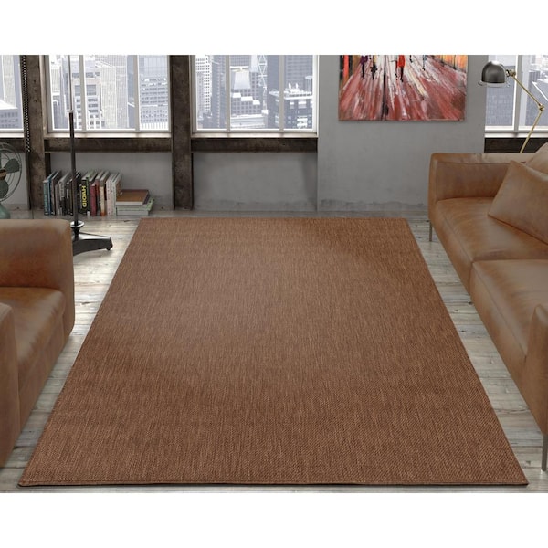 Non Shedding Indoor Outdoor Area Rug, What Color Rug For Dark Brown Floors