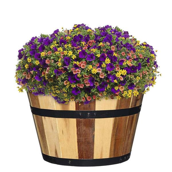 Classic Home Garden Acacia Wood Barrel Planters Set Of 3 5 800 3 The Home Depot