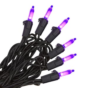 300-Count Purple Smooth Mini LED Black Wire Halloween String Lights On Spool (2-Pack)