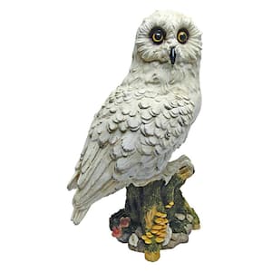 14.5 in. H Mystical White Owl Statue