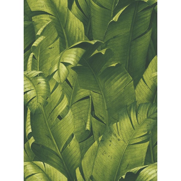 NextWall Tropical Banana Leaves Green Botanical Vinyl Peel & Stick Wallpaper Roll (Covers 30.75 Sq. Ft.)