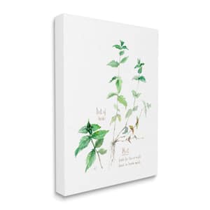Mint Sprigs Herbs Watercolor Garden Plant by Verbrugge Watercolor Unframed Print Nature Wall Art 30 in. x 40 in.