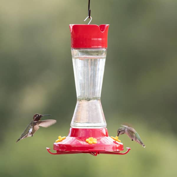 16 Oz Glass Hummingbird Feeder Each Bird Feeders 210 P 078978210202 Perky Pet for sale online 