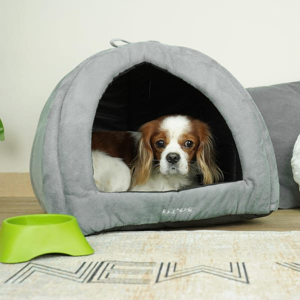 medium dog tent bed