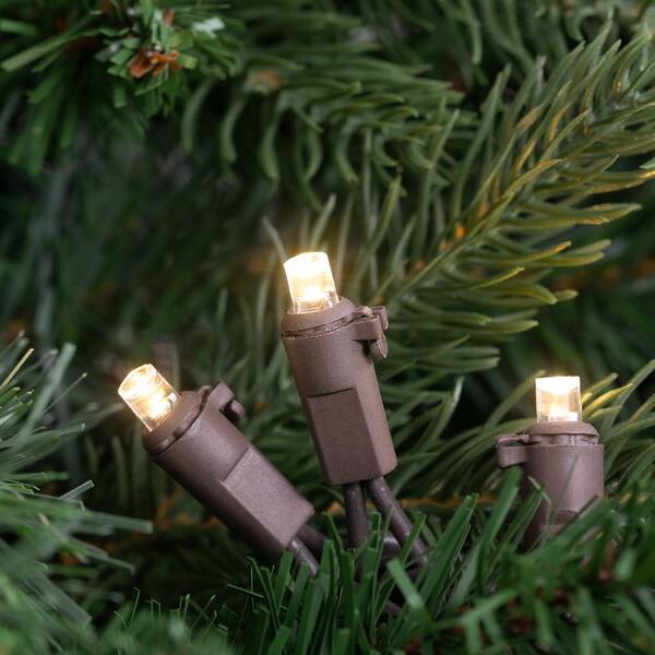 Northlight 66-ft 100-Light Clear Glass-Shade Plug-In Bulbs LED String Lights Northlight 66-ft 100-Light Clear Glass-Shade Plug-In Bulbs LED String Lights