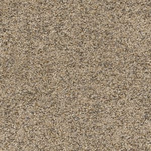Whispers  - Broadcast - Beige 38 oz. SD Polyester Texture Installed Carpet