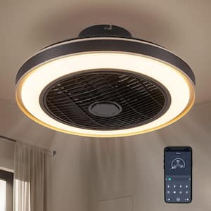 20 in. Indoor Black Modern Low Profile Ceiling Fan with LED Light Caged Enclosed Ceiling Fan with Remote and APP Control
