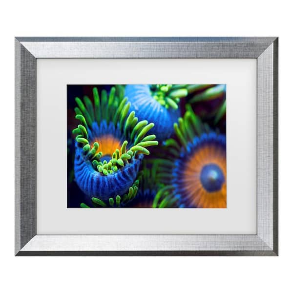 Trademark Fine Art Santiago Pascual Buye The Colors Of The Reef Ii Matted Framed Photography Wall Art 19.5 in. x 23.5 in.
