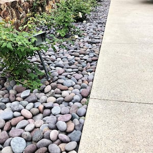 0.25 cu. ft. 2 in. to 3 in. Roja Mexican Beach Pebble Smooth Round Rock for Gardens, Landscapes and Ponds