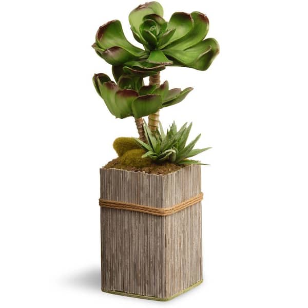 National Tree Company 11 in. Artificial Garden Accents Succulent Plant